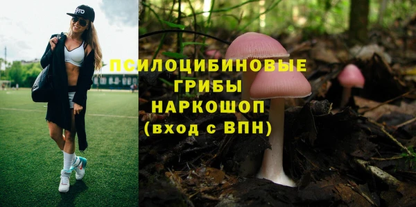 mdpv Абдулино
