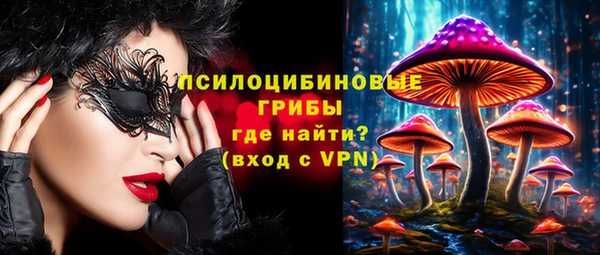 spice Снежинск