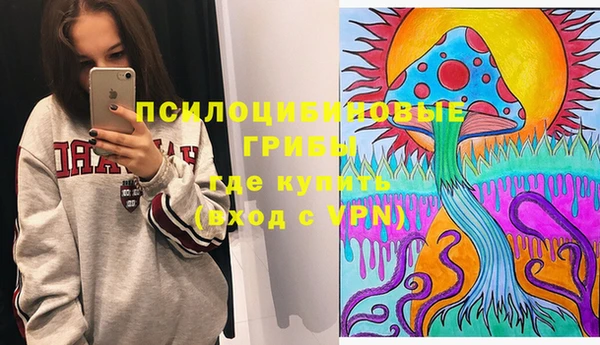мдпв Абаза