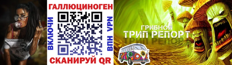 Псилоцибиновые грибы мухоморы  как найти   Галич 